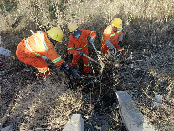 養(yǎng)護(hù)清理_副本.jpg 養(yǎng)護(hù)清理_副本.jpg