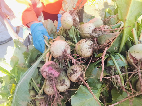 mmexport1762825683328_副本.jpg mmexport1762825683328_副本.jpg